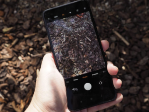 Why Budget Smartphones in 2026 Are Better Than Ever