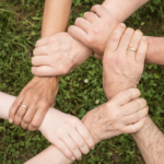 Hearth & Hand With Magnolia collaboration