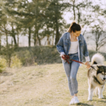 Dog Walking for Beginners: How to Walk Your Dog the Right Way