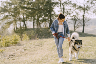 Dog Walking for Beginners: How to Walk Your Dog the Right Way