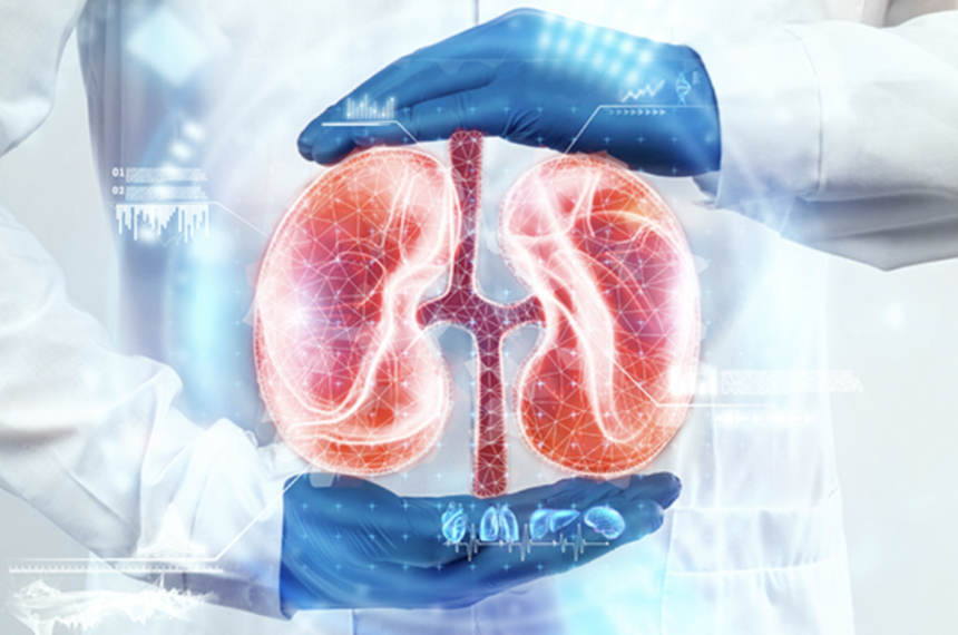 Extreme Heat Is Harming Your Kidneys — Experts Warn