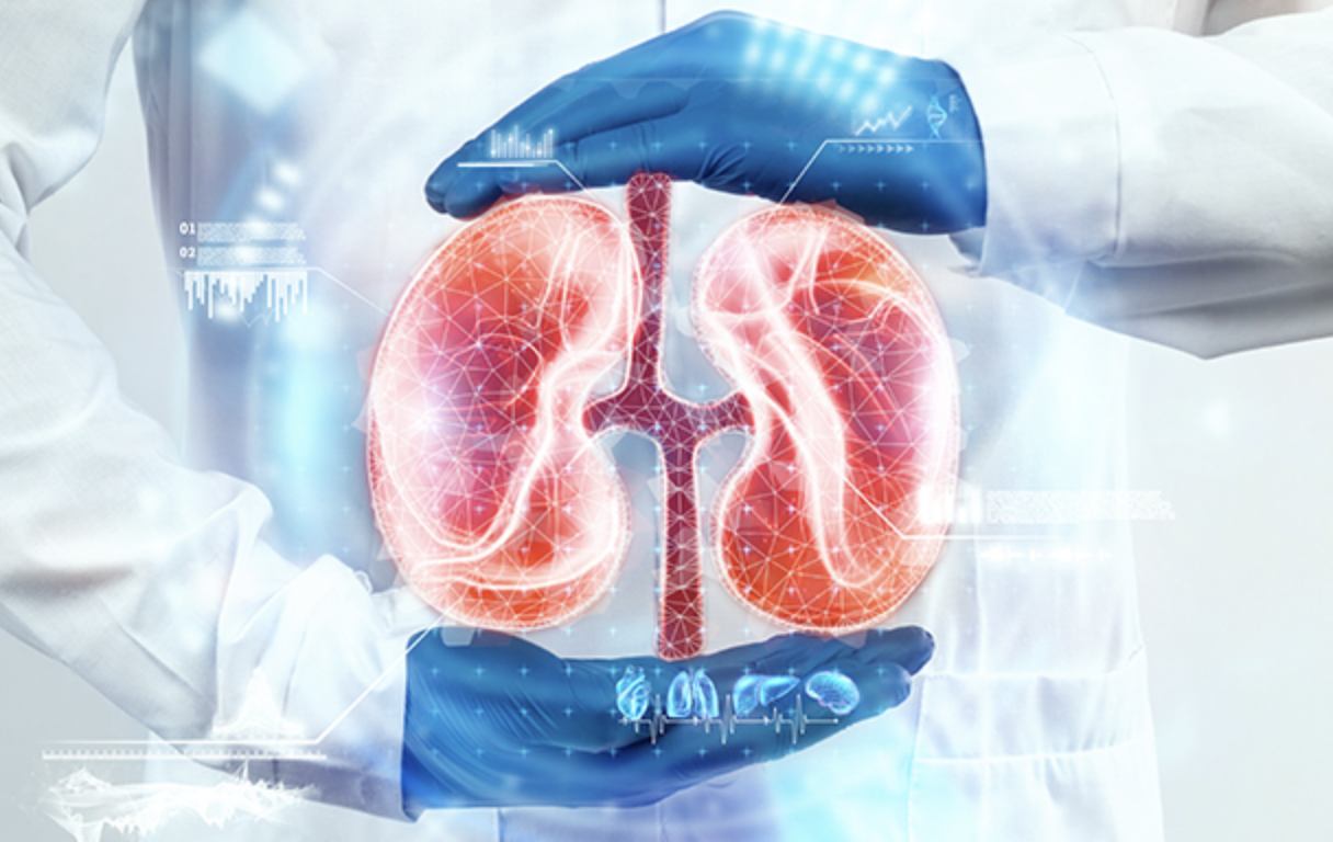 Extreme Heat Is Harming Your Kidneys — Experts Warn